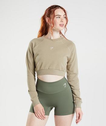 Dámské Accessories Gymshark Tréninková Cropped Svetrové Hnědé | CZ 3777ZUT